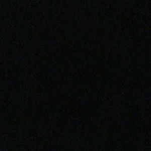 Meet your Posher, Daisy